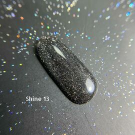 Ga&Ma Gel polish SHINE 13, гель-лак світловідбиваючий, 10 ml #1