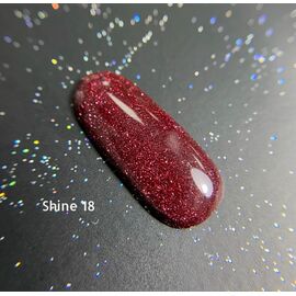 Ga&Ma Gel polish SHINE 18, гель-лак світловідбиваючий, 10 ml #1