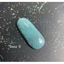 Ga&Ma Gel polish SHINE 9, гель-лак світловідбиваючий, 10 ml #1