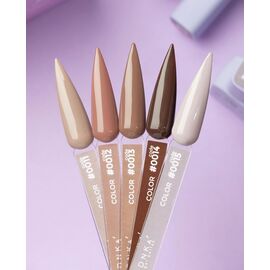 DNKa’ Gel Polish COLOR #0013, NEW FORMULA, 12 ml #2