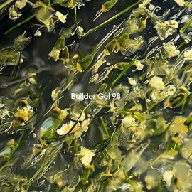 NOTD. Builder Gel, #98, 15 ml. Гель для нарощування з сухоцвітами, прозорий #2