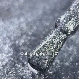 NOTD. Gel Polish "Cat eye" #01, 6 ml, гель-лак "котяче око" срібний з поталлю #2