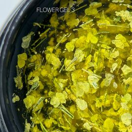 SAGA. Flower Gel, 5 ml, #03. Гель з сухоцвітами #1