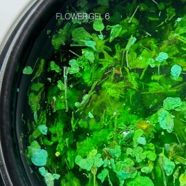 SAGA. Flower Gel, 5 ml, #06. Гель з сухоцвітами #1