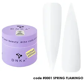 DNKa’. Builder Gel, Spring Flamingo (Limited Edition), #0001, 15 ml, гель для моделювання #1