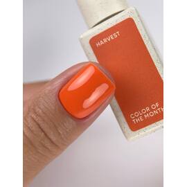 NOTD. "Color of the Month, September 2026" Gel Polish, Harvest, 10 ml. Gel Polish "Color of the Month, September 2026" — Nails of the day, NAILSMADE