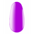 KODI Stamping Gel Neon Violet, неоновий фіолетовий, 4 ml, гель для стемпінгу #3
