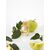 HELLO. Cuti-Cocktail, Apple Blossom, 3 ml, Коктейль для кутикули #2