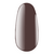 KODI. Gel polish #106CN Nut, горіх, 7 ml, гель-лак #2