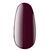 KODI Gel Polish #60WN, 7 ml, гель-лак #2