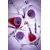 DNKa’. Top coat "Wine", Holographik, 15 ml. Топ з гологрaфічними келихами #2
