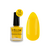 EDLEN. Stamping nail polish, №12, 10 ml. Лак для стемпінгу #1