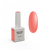 NOTD. Гель Bottle Gel №43, 10 ml, надміцний гель #1