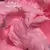 GA&MA. Relief gel, rose, 5 g, рельєф гель, трояндовий #2