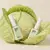 NOTD. Gel Polish Cabbage #240, 10 ml, gel polish verde claro #6