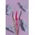 DNKa’. Gel Polish, Cat Eye (#0010) #0137, 7 ml — DNKa’ Professional, NAILSMADE