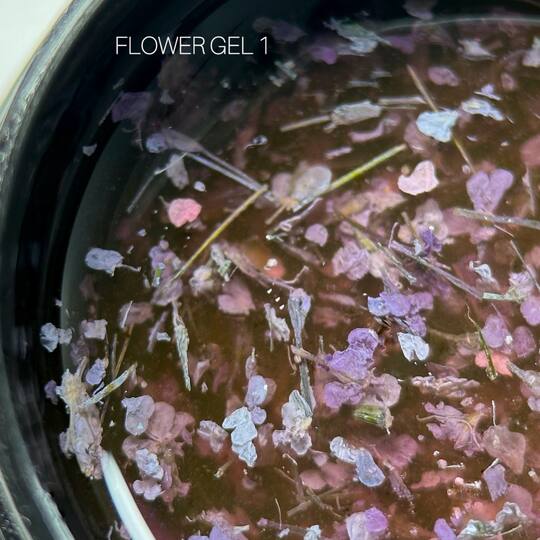 SAGA. Flower Gel, 5 g, #01. Гель з сухоцвітами