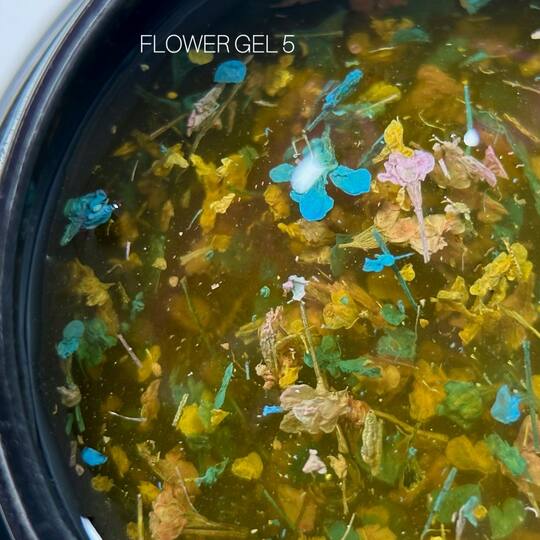 SAGA. Flower Gel, 5 g, #05. Гель з сухоцвітами