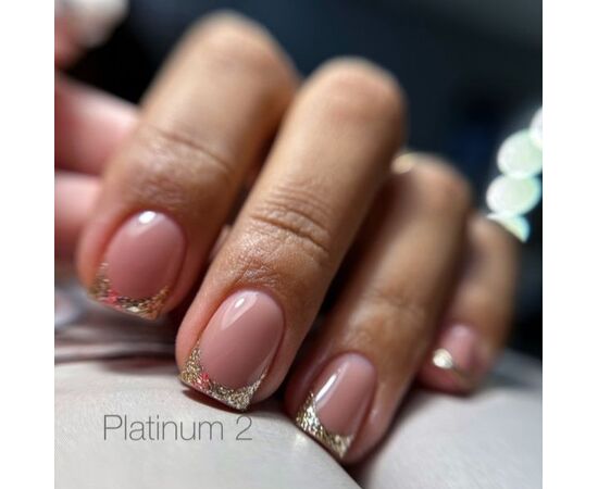 SAGA. Platinum Paint Gel, #02, 5 g. Гель-фарба з поталлю #4