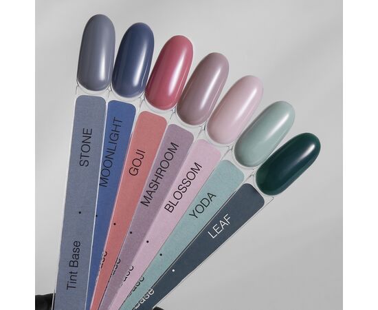 HEYLOVE. Tint base, BLOSSOM, 15 ml, відтіночна база #5