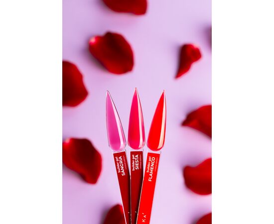 DNKa’. Builder Gel, SANGRIA, 15 ml, гель для моделювання #4