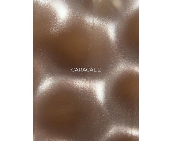 ELSE. Gel polish Cat eye, #02, Caracal, 12 ml. Гель-лак "котяче око" #4