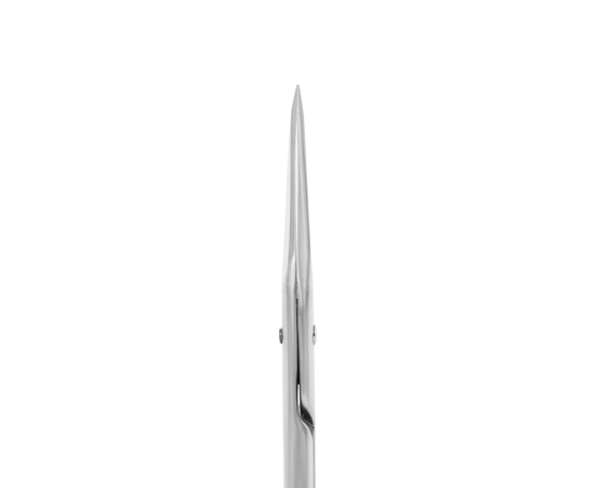 STALEKS Multipurpose scissors, Ножиці для нігтів / для брів CLASSIC 31 TYPE 1 #4
