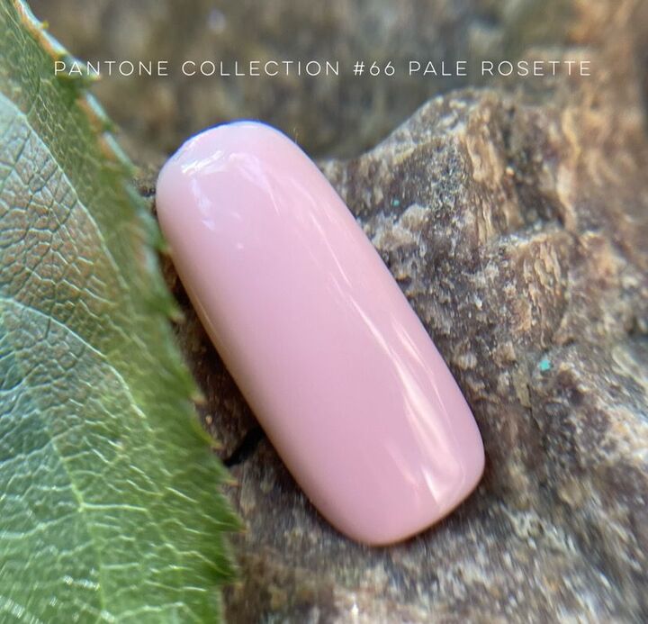 GA&MA. Gel polish #66 PALE ROSETTE, 10 ml, Gellack #2