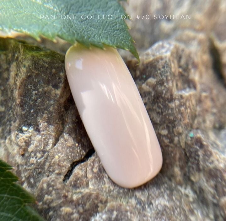 GA&MA. Gel polish #70 SOYBEAN, 10 ml, gel polish #2