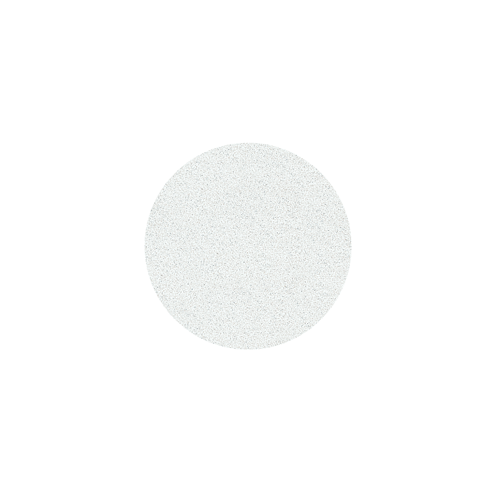 STALEKS. Набір 50 шт, Змінні файли для диска Ø25 mm, 100 грит (м'яка основа), PODODISC L, білий абразив #3