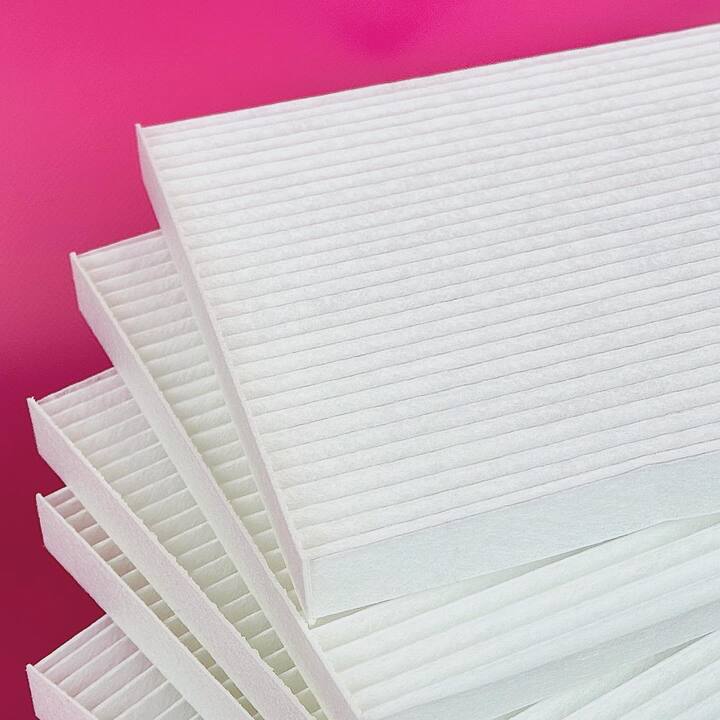 EDLEN-ÜLKA Нера filter 22*20*2 cm, фільтр до витяжки "Edlen" (Aeris / ULKA premium) #2