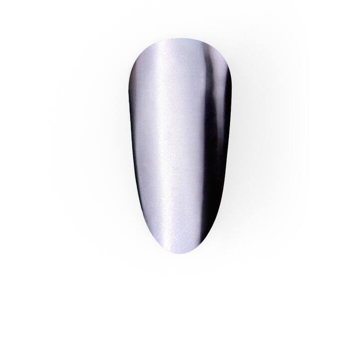 LUNAmoon. "Iron Lady" Metallic Nail Powder Set, 6 pcs, Set aus metallischen Rub-in-Pulvern, 6 Stück #4