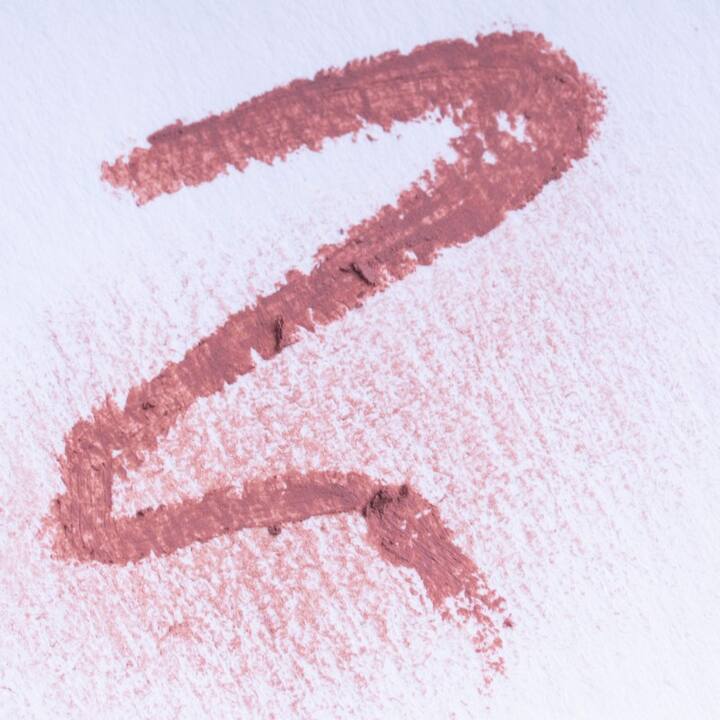 ZOLA. Lip Pencil, #104, Dusty Orchid. Гелевий олівець для губ, приглушений рожево-коричневий #3