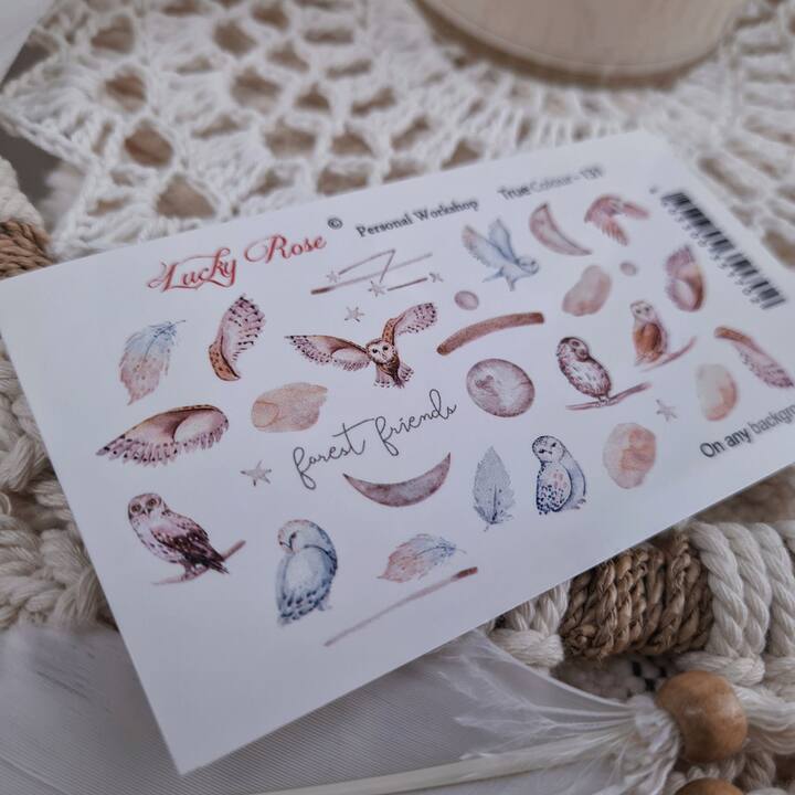 Слайдери для нігтів Lucky Rose, True Colour 131 #1