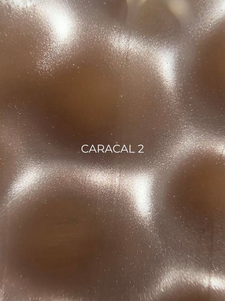 ELSE. Gel polish Cat eye, #02, Caracal, 12 ml. Гель-лак "котяче око" #4