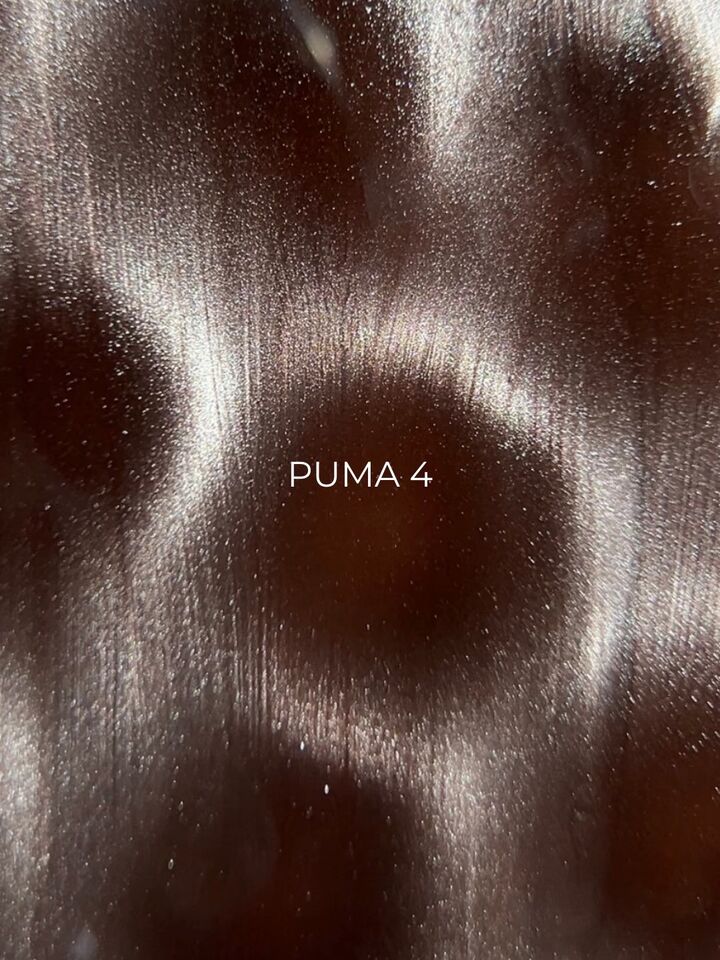 ELSE. Gel polish Cat eye, #04, Puma, 12 ml. Гель-лак "котяче око" #4